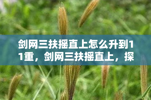 剑网三扶摇直上怎么升到11重，剑网三扶摇直上，探寻经典背后的故事与情感