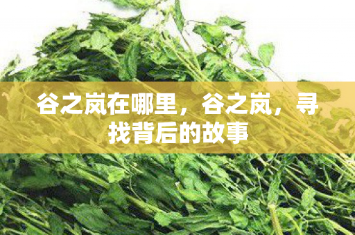 谷之岚在哪里，谷之岚，寻找背后的故事