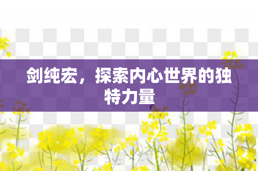 剑纯宏，探索内心世界的独特力量