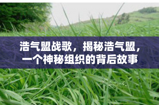 浩气盟战歌，揭秘浩气盟，一个神秘组织的背后故事