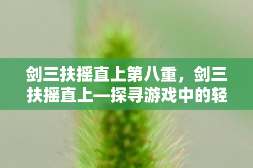 剑三扶摇直上第八重，剑三扶摇直上—探寻游戏中的轻功奥秘与江湖情怀