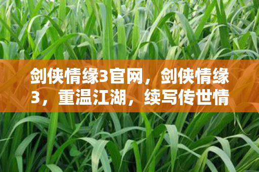 剑侠情缘3官网，剑侠情缘3，重温江湖，续写传世情缘