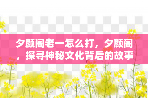夕颜阁老一怎么打，夕颜阁，探寻神秘文化背后的故事