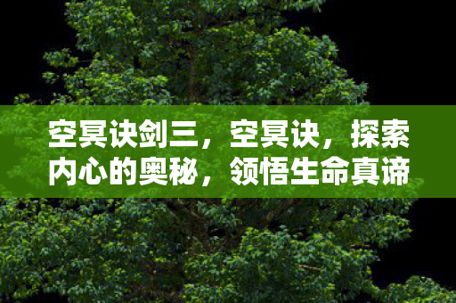 空冥诀剑三，空冥诀，探索内心的奥秘，领悟生命真谛