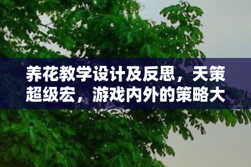 养花教学设计及反思，天策超级宏，游戏内外的策略大师之路