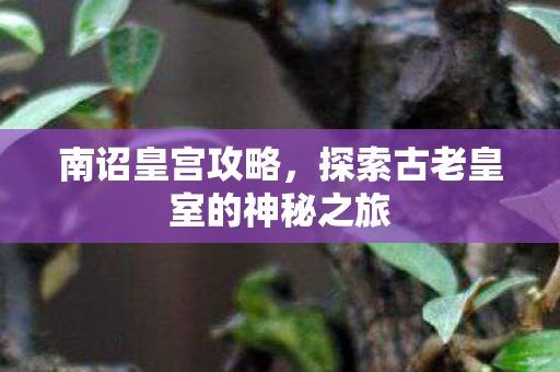 南诏皇宫攻略，探索古老皇室的神秘之旅