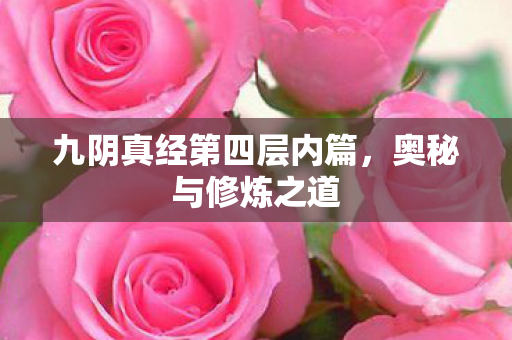 九阴真经第四层内篇，奥秘与修炼之道