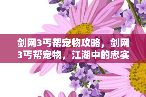 剑网3丐帮宠物攻略，剑网3丐帮宠物，江湖中的忠实伙伴