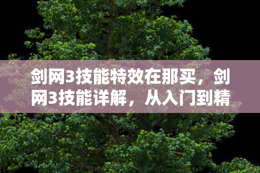 剑网3技能特效在那买，剑网3技能详解，从入门到精通