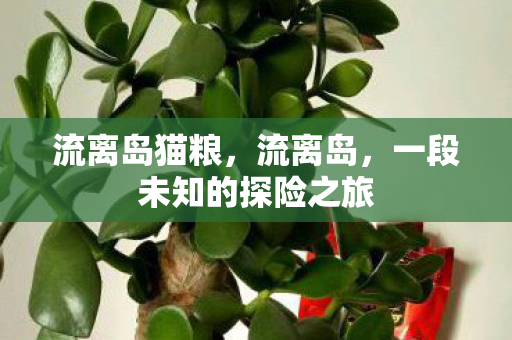 流离岛猫粮，流离岛，一段未知的探险之旅