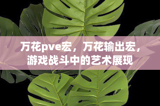 万花pve宏，万花输出宏，游戏战斗中的艺术展现