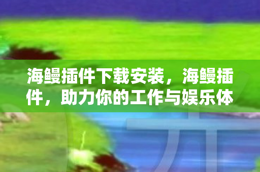 海鳗插件下载安装，海鳗插件，助力你的工作与娱乐体验升级