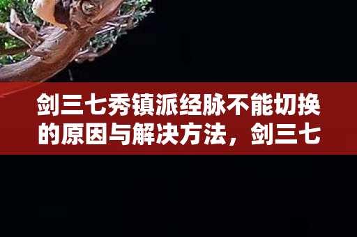 剑三七秀镇派经脉不能切换的原因与解决方法，剑三七秀镇派—探寻古代武侠文化的神秘之地