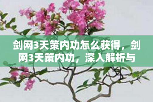 剑网3天策内功怎么获得，剑网3天策内功，深入解析与实战指南