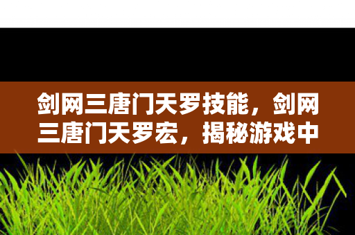 剑网三唐门天罗技能，剑网三唐门天罗宏，揭秘游戏中的神秘势力