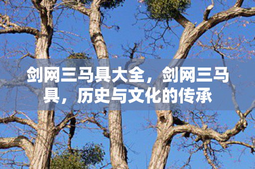剑网三马具大全，剑网三马具，历史与文化的传承