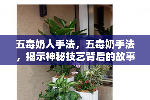 五毒奶人手法，五毒奶手法，揭示神秘技艺背后的故事