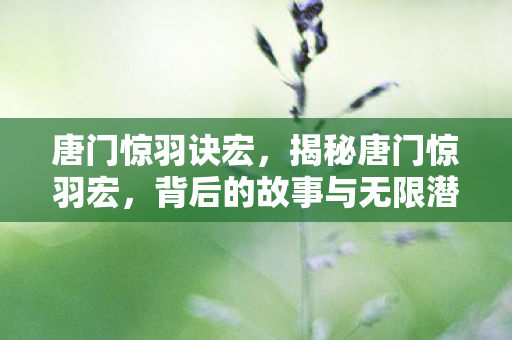 唐门惊羽诀宏，揭秘唐门惊羽宏，背后的故事与无限潜力