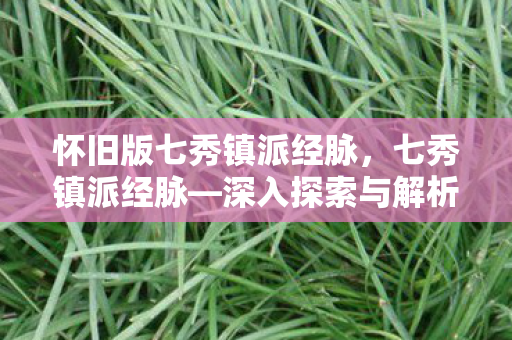 怀旧版七秀镇派经脉，七秀镇派经脉—深入探索与解析