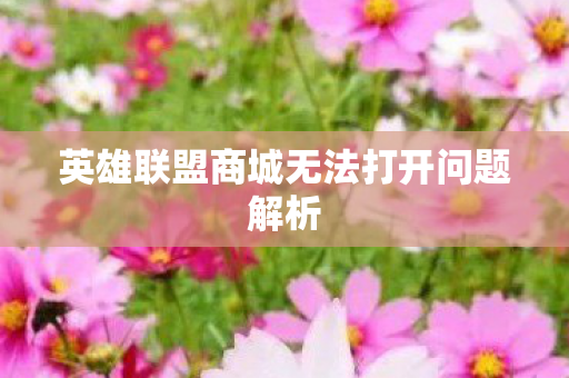 英雄联盟商城无法打开问题解析