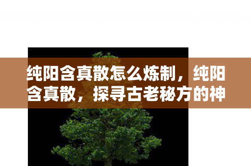 纯阳含真散怎么炼制，纯阳含真散，探寻古老秘方的神奇魅力