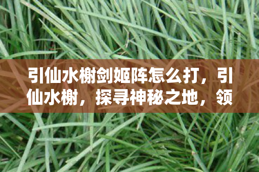 引仙水榭剑姬阵怎么打，引仙水榭，探寻神秘之地，领略自然之美