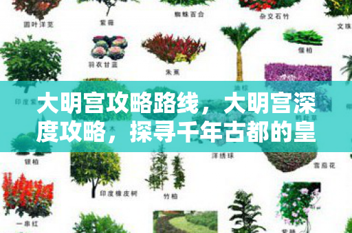 大明宫攻略路线，大明宫深度攻略，探寻千年古都的皇家瑰宝