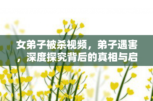 女弟子被杀视频，弟子遇害，深度探究背后的真相与启示