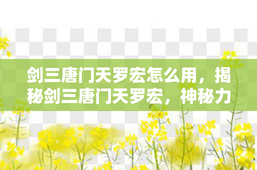 剑三唐门天罗宏怎么用，揭秘剑三唐门天罗宏，神秘力量的背后故事