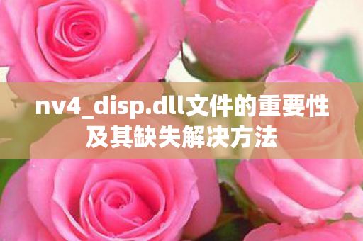 nv4_disp.dll文件的重要性及其缺失解决方法