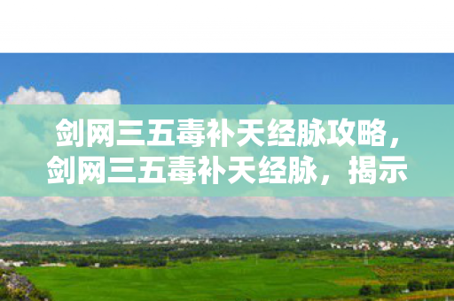 剑网三五毒补天经脉攻略，剑网三五毒补天经脉，揭示其奥秘与实战应用