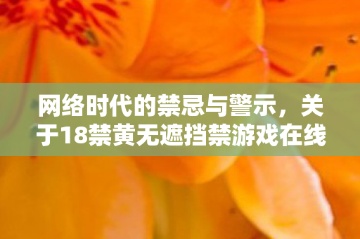 网络时代的禁忌与警示，关于18禁黄无遮挡禁游戏在线下载的探讨
