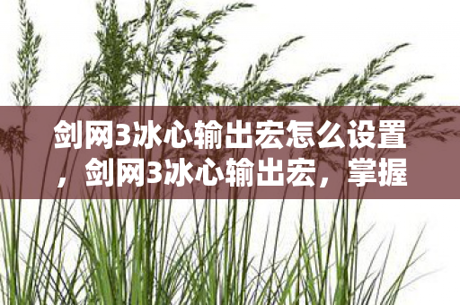 剑网3冰心输出宏怎么设置，剑网3冰心输出宏，掌握高效战斗技巧