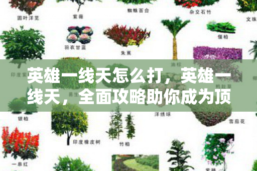 英雄一线天怎么打，英雄一线天，全面攻略助你成为顶尖玩家