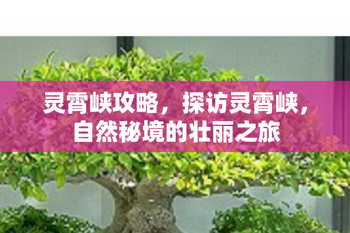 灵霄峡攻略，探访灵霄峡，自然秘境的壮丽之旅