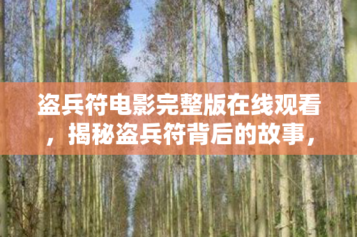 盗兵符电影完整版在线观看，揭秘盗兵符背后的故事，历史与真相的交织