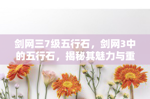 剑网三7级五行石，剑网3中的五行石，揭秘其魅力与重要性