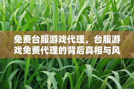 免费台服游戏代理，台服游戏免费代理的背后真相与风险警示
