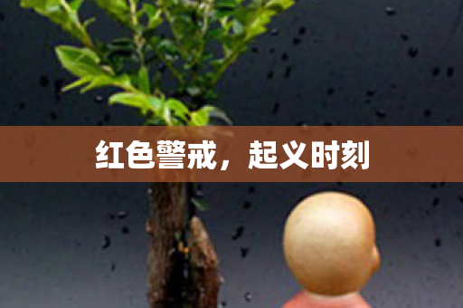 红色警戒，起义时刻