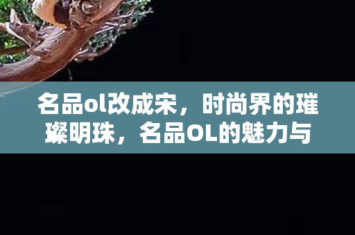 名品ol改成宋，时尚界的璀璨明珠，名品OL的魅力与风采