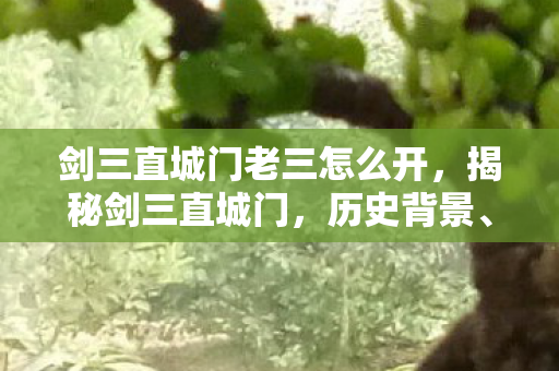 剑三直城门老三怎么开，揭秘剑三直城门，历史背景、游戏玩法与独特魅力