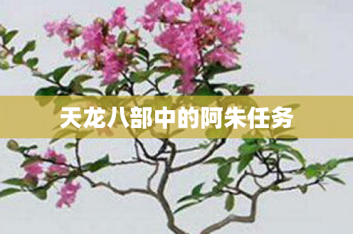 天龙八部中的阿朱任务