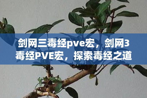 剑网三毒经pve宏，剑网3毒经PVE宏，探索毒经之道的极致操作