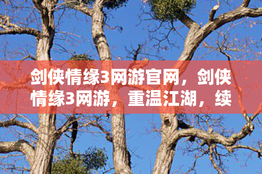 剑侠情缘3网游官网，剑侠情缘3网游，重温江湖，续写传说