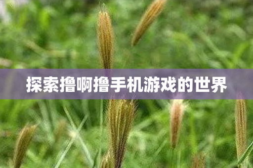 探索撸啊撸手机游戏的世界