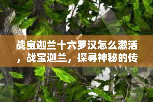 战宝迦兰十六罗汉怎么激活，战宝迦兰，探寻神秘的传说之地