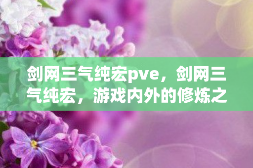 剑网三气纯宏pve，剑网三气纯宏，游戏内外的修炼之道