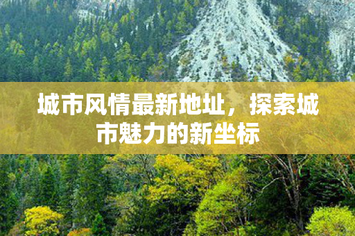 城市风情最新地址，探索城市魅力的新坐标