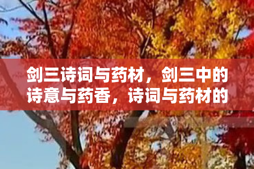 剑三诗词与药材，剑三中的诗意与药香，诗词与药材的交融之美