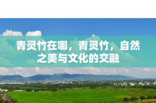 青灵竹在哪，青灵竹，自然之美与文化的交融